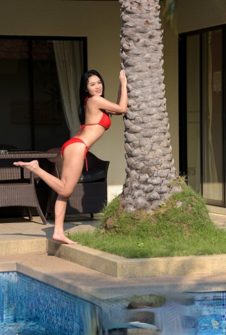 Beautiful Asian girl Kahlisa unveils her sweet tits & her inviting hairy cunt